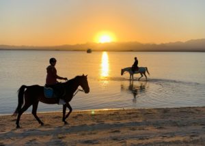 Zwei Reiter mit Pferd am Strand bei Sonnenuntergang